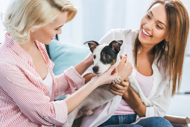 happy girls with jack russell terrier dog at home - Fotografie, Obrázek