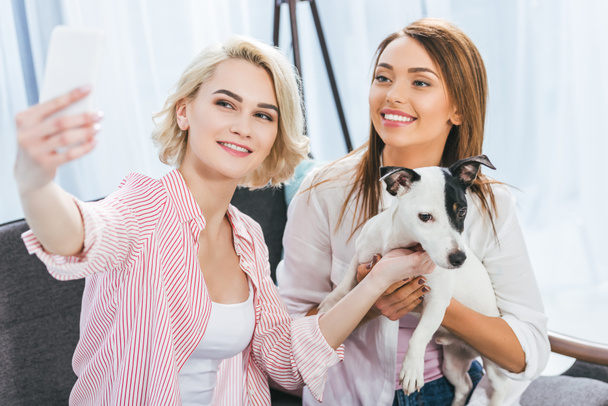 beautiful women with jack russell terrier dog at home - Fotografie, Obrázek