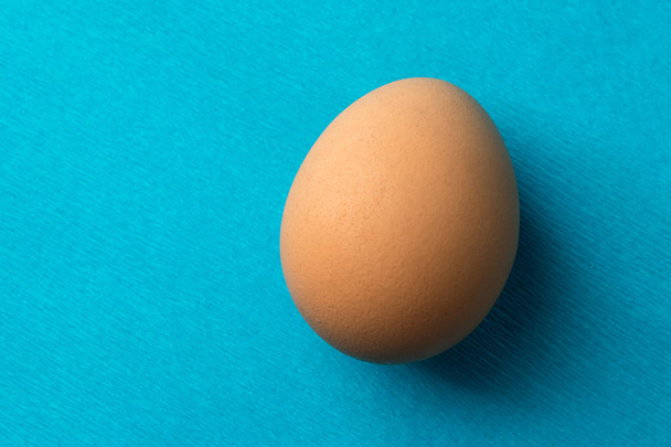 red, chicken egg on a blue background - Фото, изображение