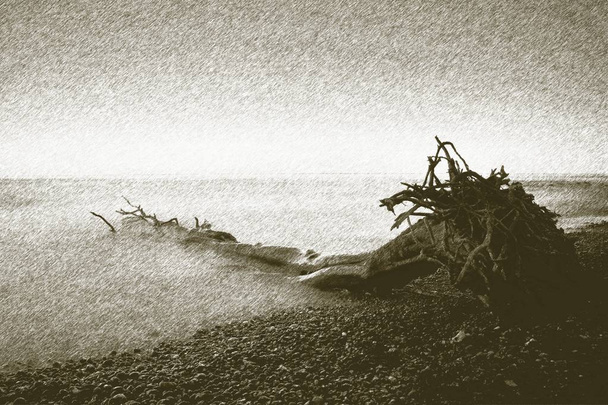 Llithographic technika. Osamělý strom padlý na prázdný kamenité pobřeží. Temné nebe - Fotografie, Obrázek