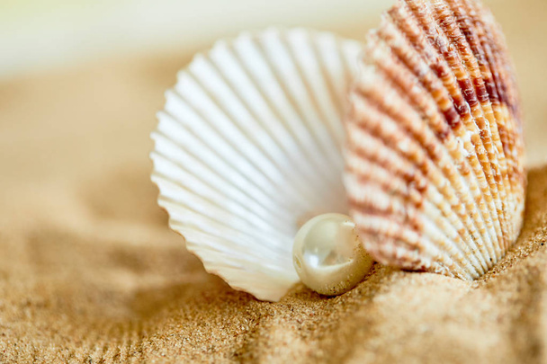 pearl in opened shell on beach - Zdjęcie, obraz