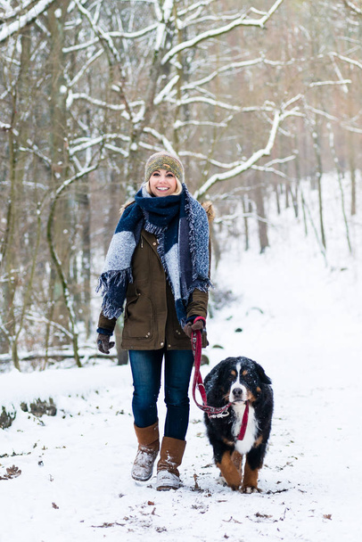 Donna con il suo cane escursioni o passeggiate in inverno
 - Foto, immagini