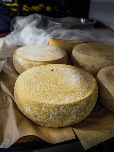Rotoli di formaggio
 - Foto, immagini