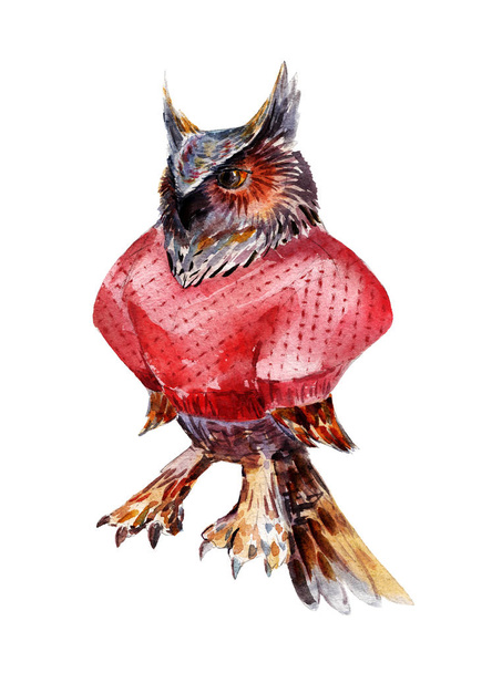 Owl in red sweater watercolor illustration, hand-drawn vintage isolated object on white background. - Foto, afbeelding