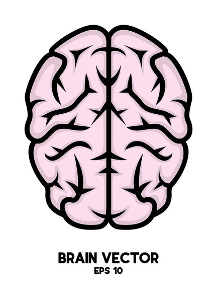 hersenen vector bewerkbaar bestand - Vector, afbeelding