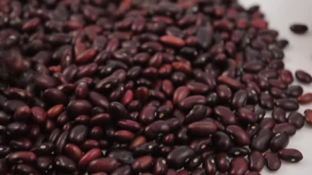 rozptyl červené fazole - Záběry, video