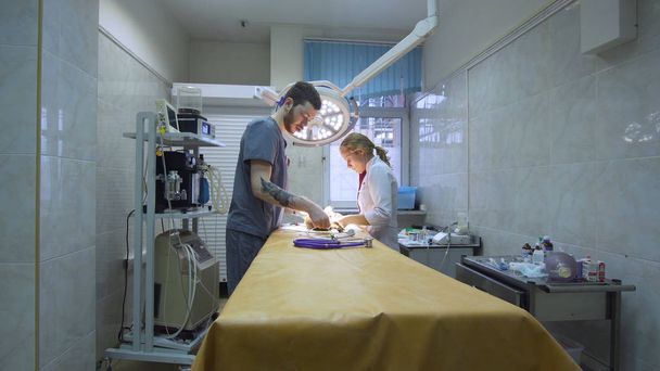 Veterinarian operating room. - Photo, Image