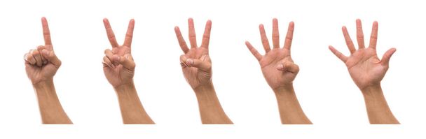 mano que muestra el número
  - Foto, imagen