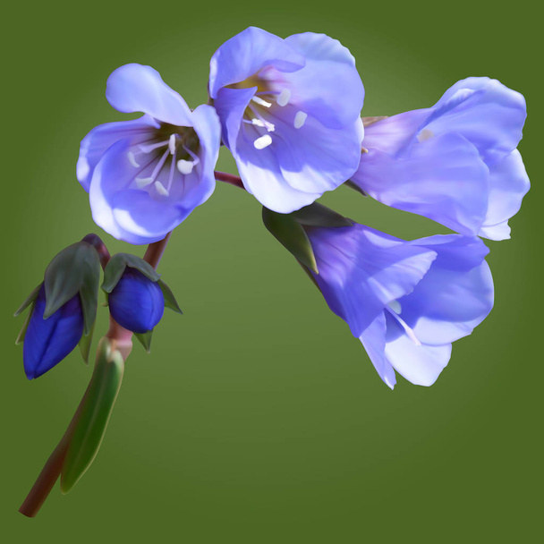 Flores gregas valerianas, ilustração de malha
 - Vetor, Imagem