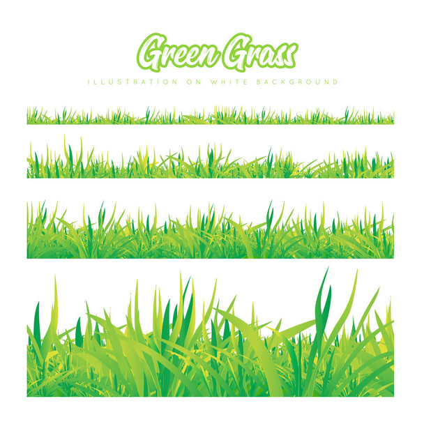Hierba verde de diferentes alturas
 - Vector, Imagen