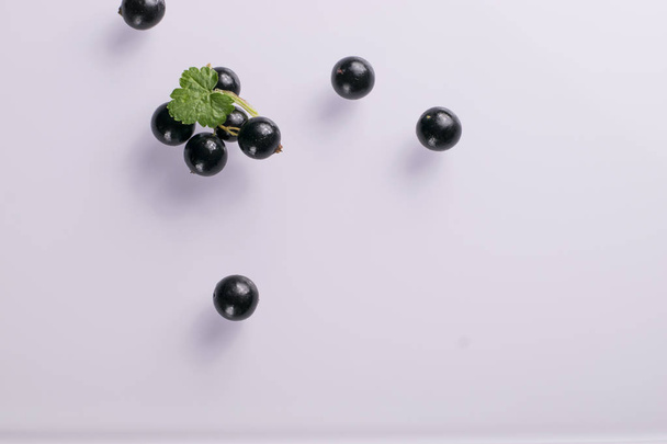 Black currant on white table with leaf sprig - Фото, изображение