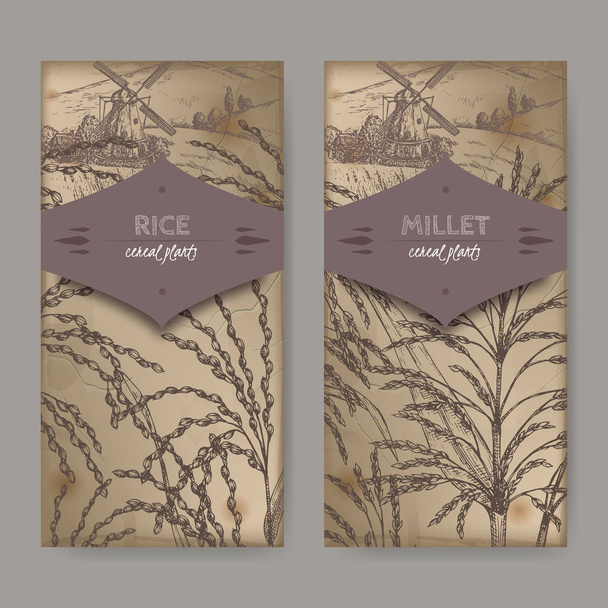 Set of two labels with Asian rice aka Oryza sativa and Proso millet aka Panicum miliaceum sketch. - Vettoriali, immagini