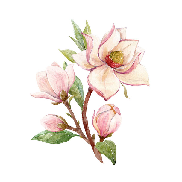 Watercolor magnolia floral composition - Foto, Imagen