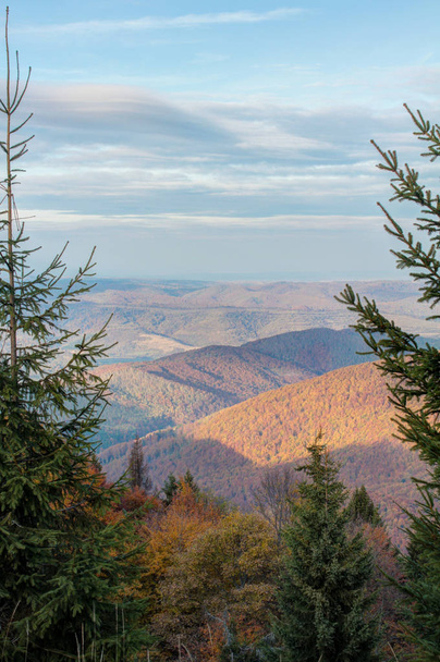 Vista noturna das montanhas e floresta de outono
 - Foto, Imagem