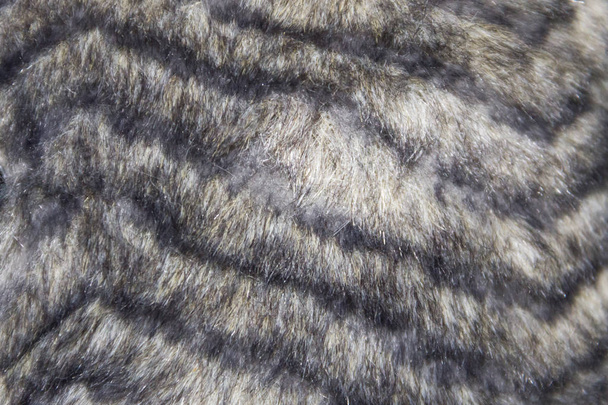 Textura de pele de falso cinza para fundo
 - Foto, Imagem