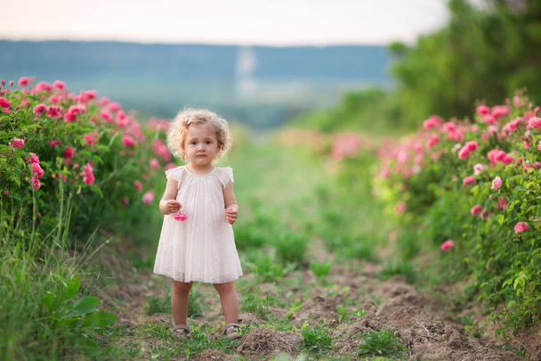 Pretty curly child girl is walking in spring garden with pink blossom roses flowers, sunset time - Valokuva, kuva