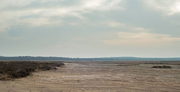Wide plain with sand and heather   - Photo, Image