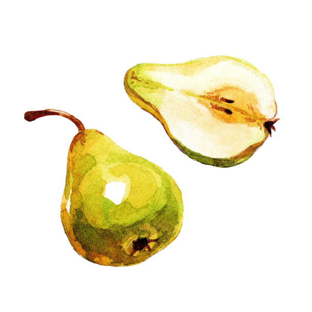 Pear painted watercolor, isolated. - Photo, Image