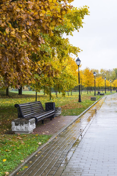 road through the park at rainy autumn morning. background, nature. - Foto, imagen