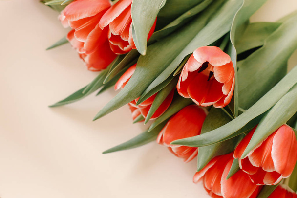 El ramo de tulipanes rojos se encuentra en el fondo
 - Foto, Imagen