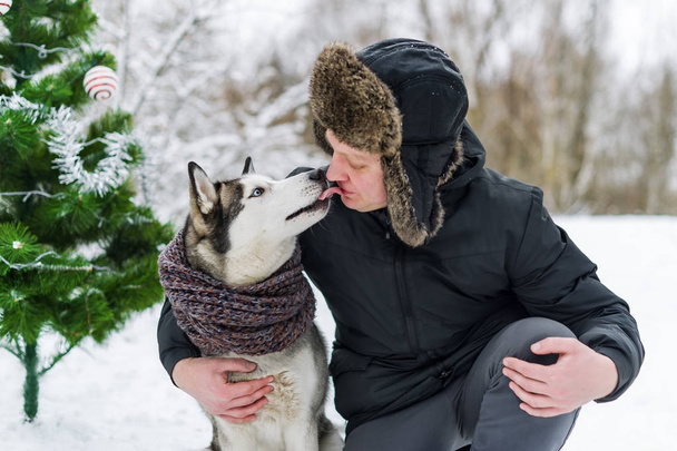 Propietario y Husky. Husky siberiano besando a un hombre en la cara en el día de Navidad de invierno
 - Foto, imagen