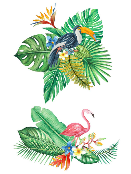 тропические листья, ветки, цветы и животные расположение, букеты, акварель иллюстрация изолированный белый фон для приглашения, поздравительные открытки, украшения
 - Фото, изображение