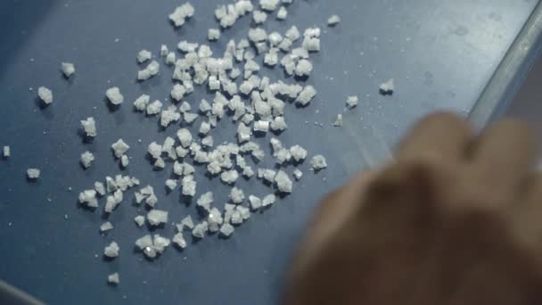 Produktion kristallinen Meersalzes - Filmmaterial, Video