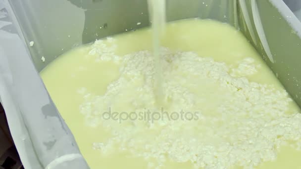 Fabriquer du fromage domestique à l'usine ; Travailleur dans un entrepôt de fromage fait maison préparé et stocké, Clip vidéo 4K
 - Séquence, vidéo