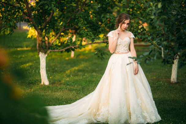 Молодая девушка в свадебном платье в парке позирует для фотографа. Солнечная погода, лето
 - Фото, изображение