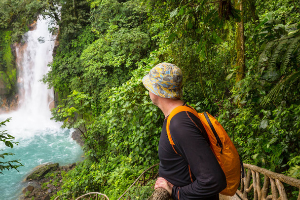 Cascata maestosa nella giungla della foresta pluviale del Costa Rica. Escursione tropicale. - Foto, immagini