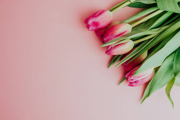 8 maart Happy Women's Day. Lente concept. Roze tulpen op roze achtergrond. Kopiëren van ruimte - Foto, afbeelding