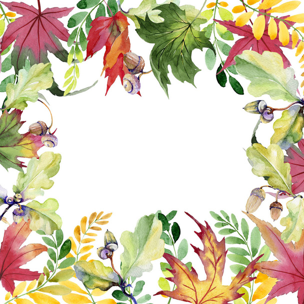 Herbstblatt aus Akazienrahmen in einem handgezeichneten Aquarell-Stil. - Foto, Bild