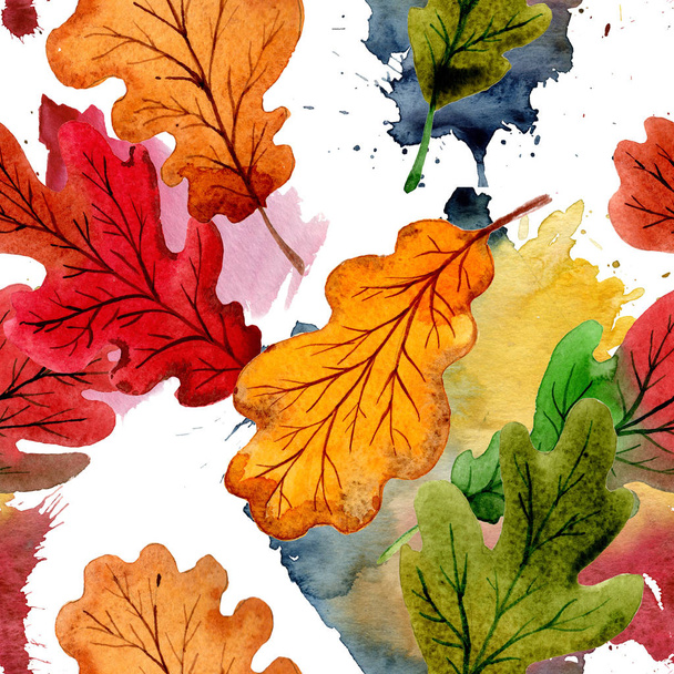 Autumn leaf of oak pattern in a hand drawn watercolor style. - Valokuva, kuva