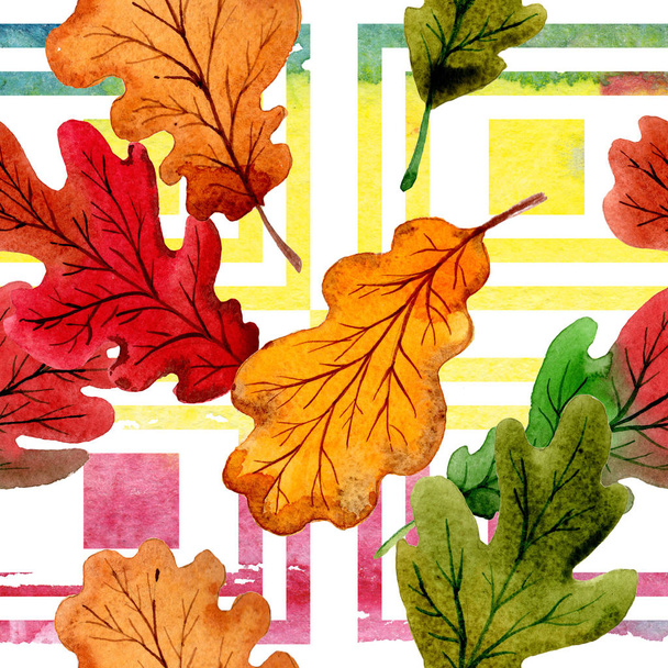 Autumn leaf of oak pattern in a hand drawn watercolor style. - Photo, Image