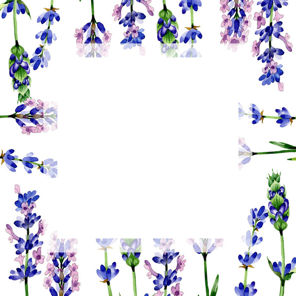 Wildflower lavender flower frame in a watercolor style. - Foto, imagen