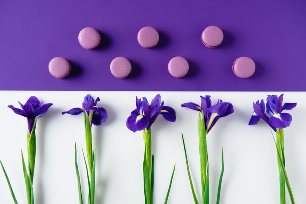 flat lay composition of iris flowers with delicious macaron cookies on purple and white surface - Photo, Image