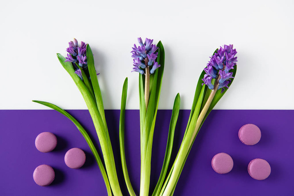 top view of hyacinth flowers with macaron cookies on purple and white surface - Photo, Image