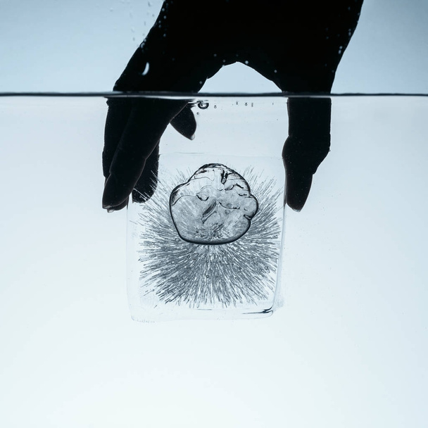 cropped view of person holding ice cube in water, isolated on white - Zdjęcie, obraz