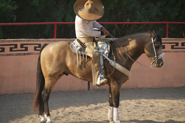 Cavaleiro mexicano charros, San Antonio, TX, US
 - Foto, Imagem