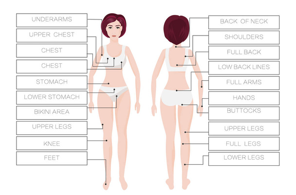 Laserowe usuwanie włosów kobiet stref. Obszar ciała kobiety. IPL procedury - Wektor, obraz