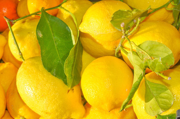 citromos gyümölcs - Fotó, kép