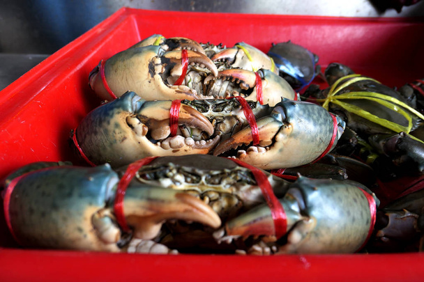 Fresh crabs are tied in a red pickup in the market. Fresh and delicious.the big claws of a crabs. Crabs are suitable for cooking. It is a good raw material. For the restaurant - Photo, Image