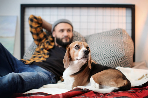 Beau jeune hipster avec son chien reposant sur le lit à la maison
 - Photo, image