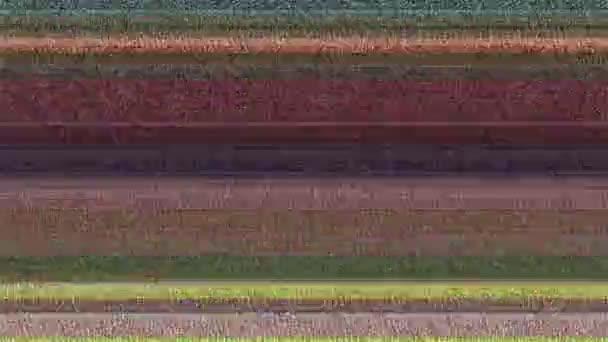 Πολύχρωμο οριζόντιες γραμμές με στατική 8 A υπολογιστή δημιουργούνται αφαιρετικό animation πολύχρωμες οριζόντιες γραμμές και στατική Tv                                                                                                 - Πλάνα, βίντεο