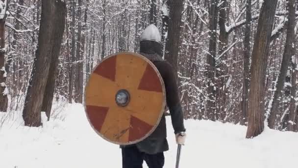 Μεσαιωνικό πολεμιστές viking στην πανοπλία περπατώντας σε ένα δάσος του χειμώνα με σπαθί και ασπίδα - Πλάνα, βίντεο
