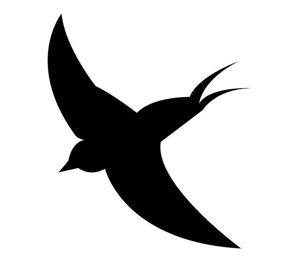 Swallow pictogram op witte achtergrond - Vector, afbeelding