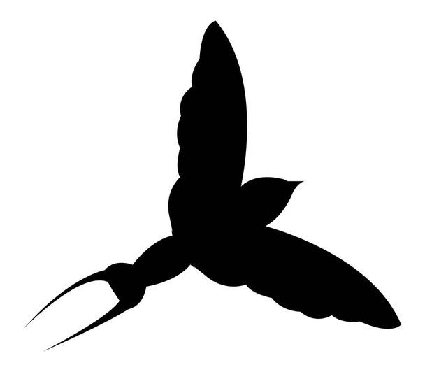 swallow icon on white background - Vector, Image