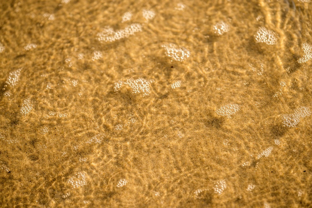 Hiekkaranta aallokon matalalla vedellä
 - Valokuva, kuva