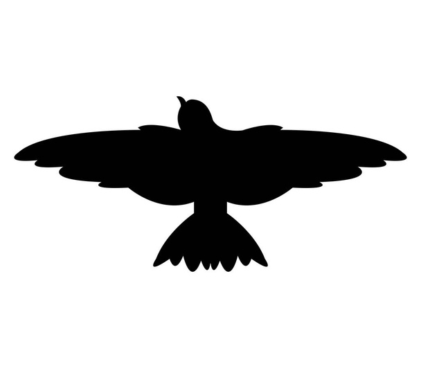 icona della rondine su sfondo bianco
 - Vettoriali, immagini