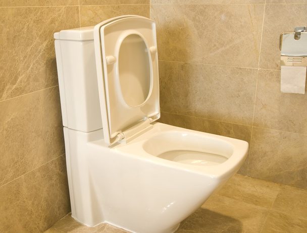 Closestool and tissue in a bathroom - Photo, Image